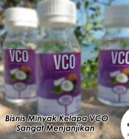 bisnis minyak kelapa VCO
